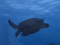 img40